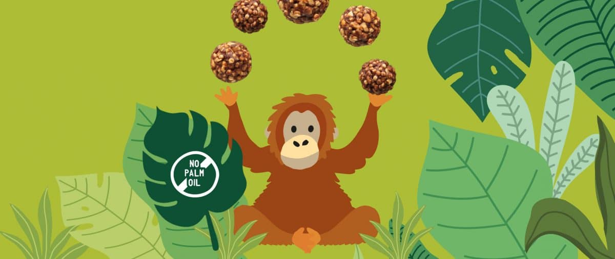 palm oil free healthy snacks